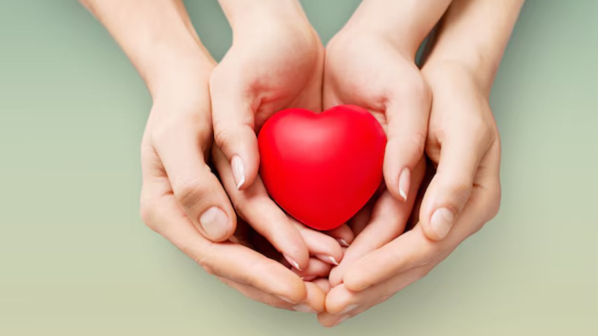 Love2Love: A Journey a Mutual Connection of Life