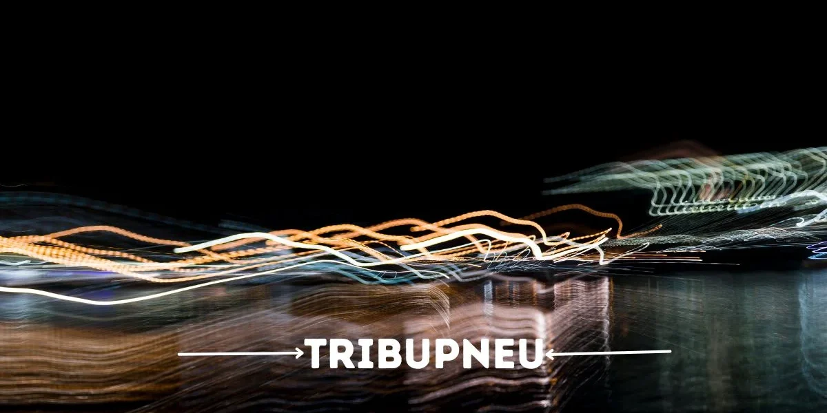 From Concept to Reality: The Rise of Tribupneu From Concept to Reality: The Rise of Tribupneu
