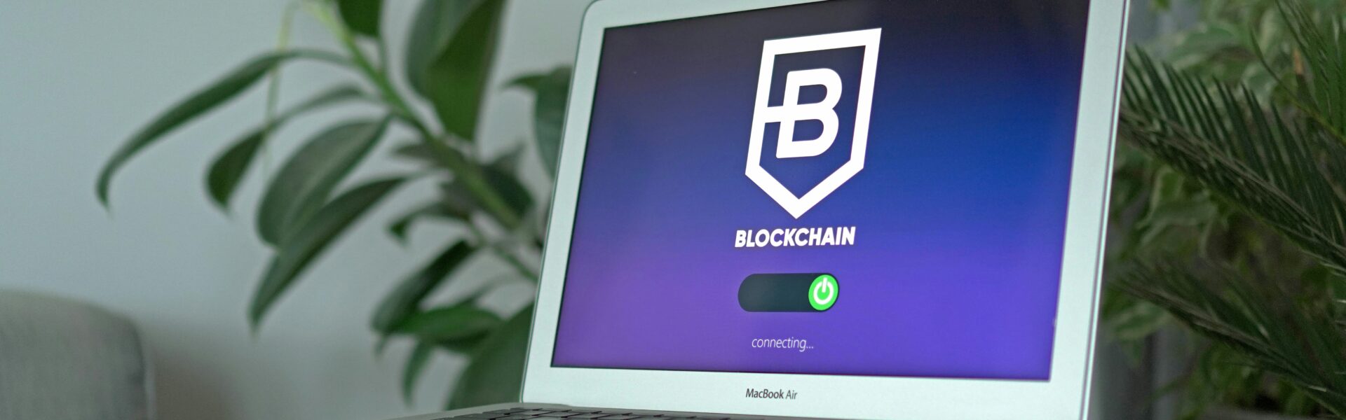 Bop444Money: The Ultimate Guide to the Rising Digital Platform Bop444Money: The Ultimate Guide to the Rising Digital Platform